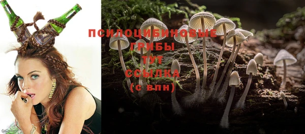 не бодяженный Краснотурьинск