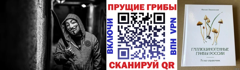 где продают наркотики  Красноперекопск  Галлюциногенные грибы GOLDEN TEACHER 